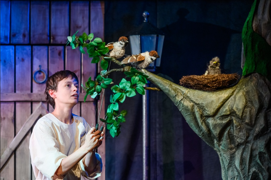 Screenshot 2026-04-06 at 14-32-45 vv1_9753_n.jpg (изображение «JPEG» 900 × 598 пикселей).png