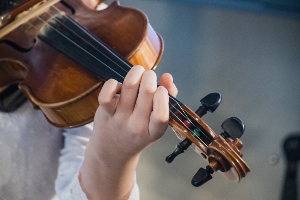 Скрипка. Фото - Ирина Иванова.