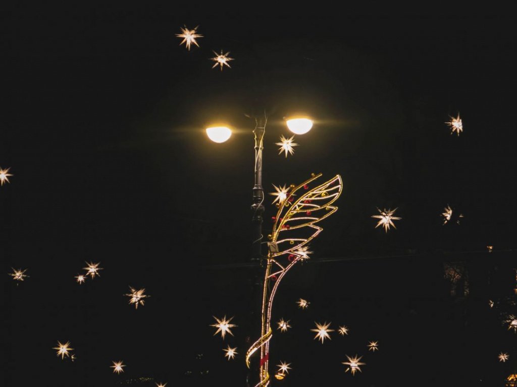 Огни Екатериненского сада. Фото: Ирина Иванова