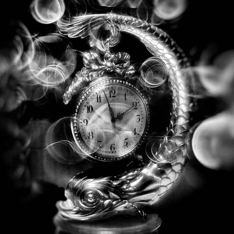 Фото: Елена Гонтаренко.