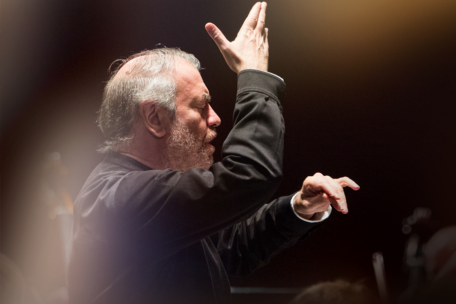 gergiev2_byshapunov (1).png