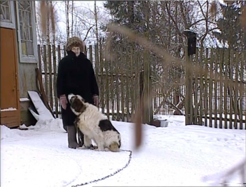 Кадр из фильма. Скриншот