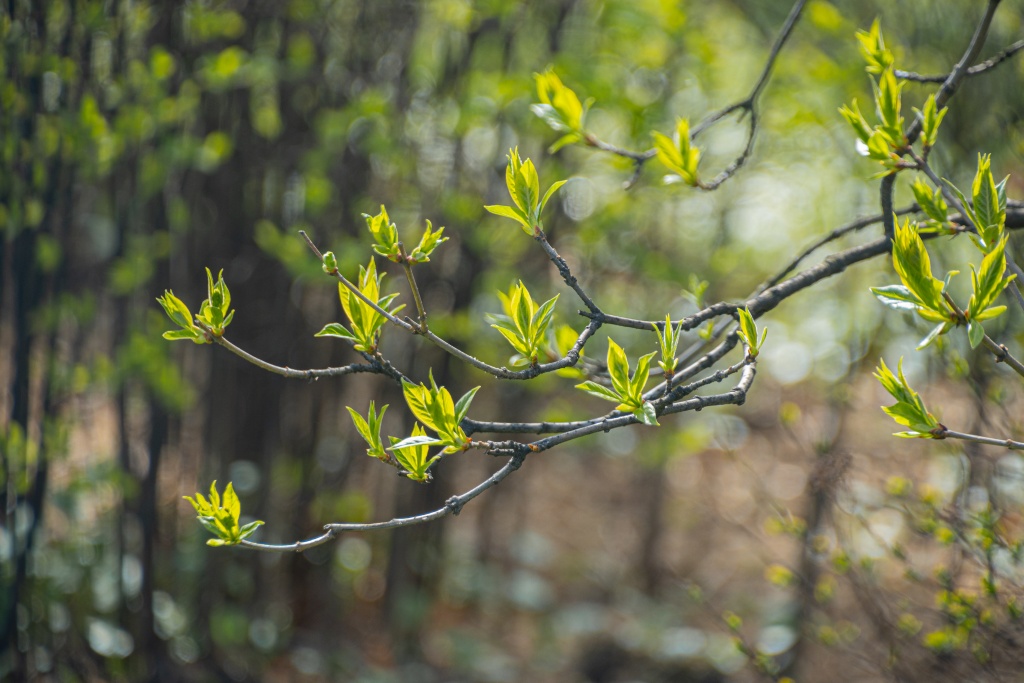 Весна 2025 Ирина Иванова-3199-6336.jpg